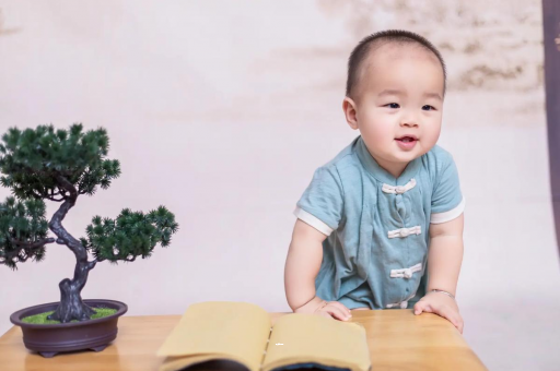 自贡可爱的企鹅宝宝